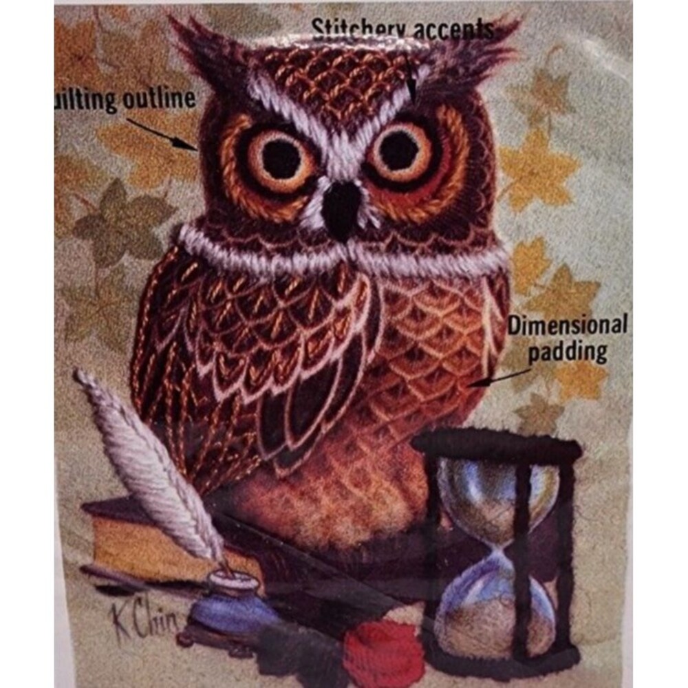 Donald Art Trapunto Crewel Studious Owl Embroidery Quilting Rare Vintage 1975